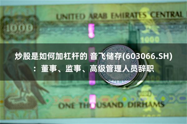 炒股是如何加杠杆的 音飞储存(603066.SH)：董事、监事、高级管理人员辞职