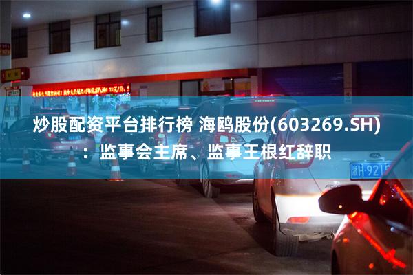 炒股配资平台排行榜 海鸥股份(603269.SH)：监事会主席、监事王根红辞职