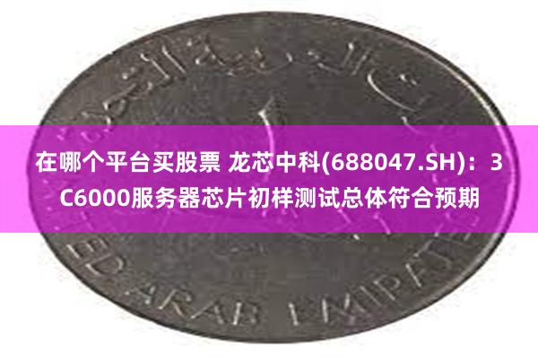 在哪个平台买股票 龙芯中科(688047.SH)：3C6000服务器芯片初样测试总体符合预期