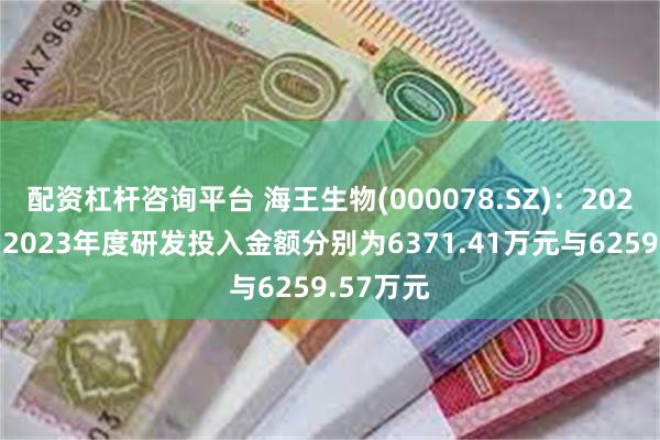 配资杠杆咨询平台 海王生物(000078.SZ)：2022年度、2023年度研发投入金额分别为6371.41万元与6259.57万元