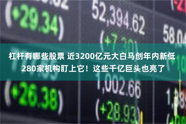 杠杆有哪些股票 近3200亿元大白马创年内新低 280家机构盯上它！这些千亿巨头也亮了