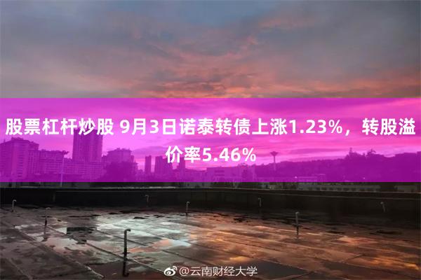 股票杠杆炒股 9月3日诺泰转债上涨1.23%，转股溢价率5.46%