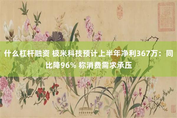 什么杠杆融资 极米科技预计上半年净利367万：同比降96% 称消费需求承压