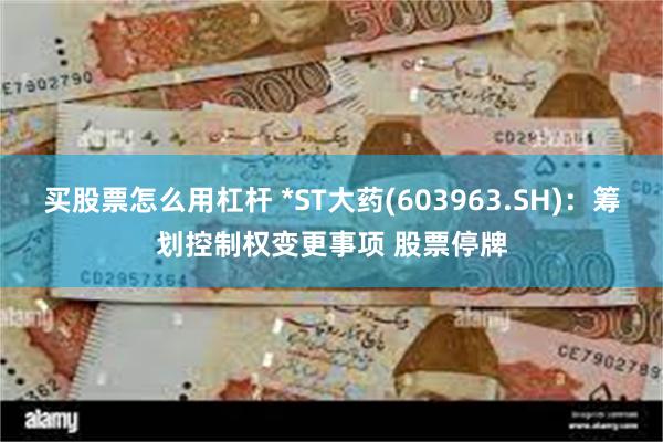 买股票怎么用杠杆 *ST大药(603963.SH)：筹划控制权变更事项 股票停牌