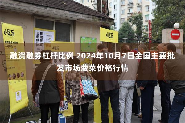 融资融券杠杆比例 2024年10月7日全国主要批发市场菠菜价格行情