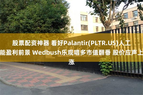 股票配资神器 看好Palantir(PLTR.US)人工智能盈利前景 Wedbush乐观唱多市值翻番 股价应声上涨