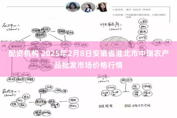 配资机构 2025年2月8日安徽省淮北市中瑞农产品批发市场价格行情